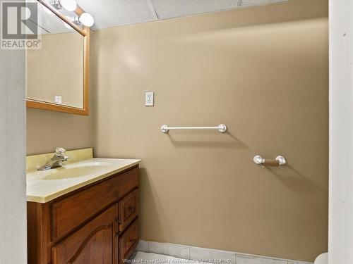 12169 St. Thomas, Tecumseh, ON - Indoor Photo Showing Bathroom