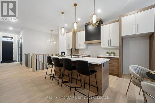 10 - 41 Ivy Crescent, Thorold (558 - Confederation Heights), ON - Indoor Photo Showing Kitchen With Upgraded Kitchen