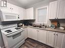 779 Bridge Avenue, Windsor, ON  - Indoor Photo Showing Kitchen With Double Sink 