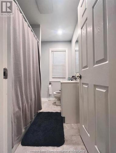 779 Bridge Avenue, Windsor, ON - Indoor Photo Showing Bathroom