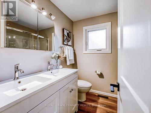 463 Woodward Avenue, Milton, ON - Indoor Photo Showing Bathroom