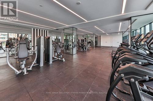 912 - 220 Missinnihe Way, Mississauga, ON - Indoor Photo Showing Gym Room