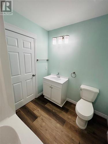 14 Hill Street, Grand Falls-Windsor, NL - Indoor Photo Showing Bathroom