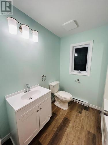 14 Hill Street, Grand Falls-Windsor, NL - Indoor Photo Showing Bathroom