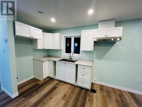 14 Hill Street, Grand Falls-Windsor, NL - Indoor Photo Showing Kitchen With Double Sink