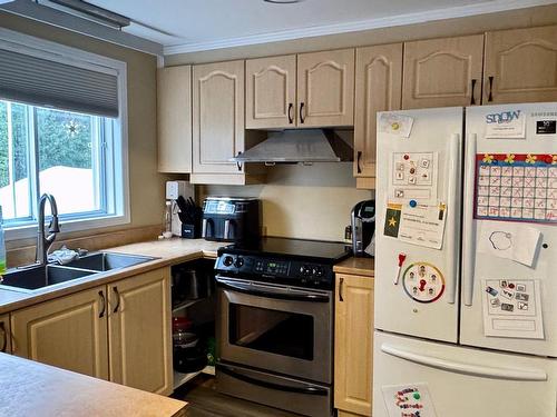 Kitchen - 3641 Av. Des Lilas, Chertsey, QC - Indoor Photo Showing Kitchen With Double Sink