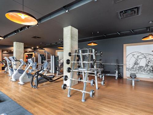 Exercise room - 315-738 Rue St-Paul O., Montréal (Ville-Marie), QC - Indoor Photo Showing Gym Room