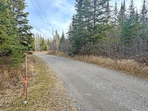 Lot 8 Walkinshaw Lake Road, Thunder Bay Unorganized, ON - Outdoor With View