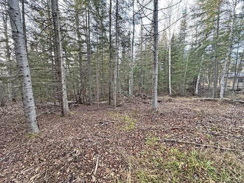 115 Golf Course Road, Nipigon, ON - Outdoor With View