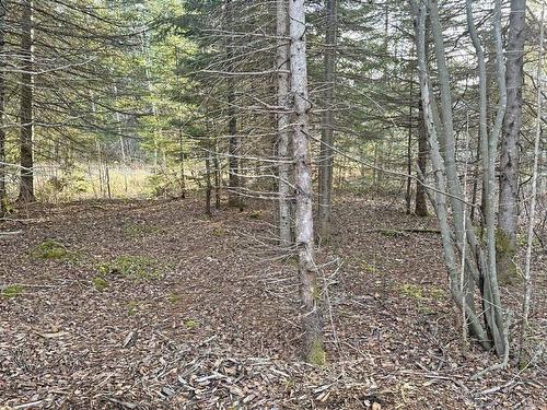 115 Golf Course Road, Nipigon, ON - Outdoor