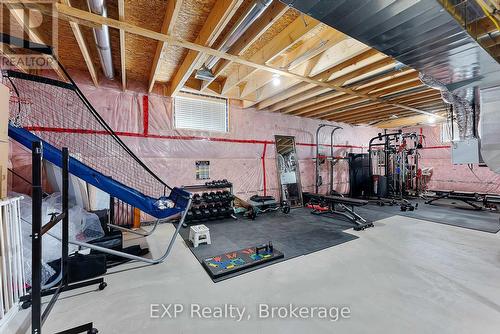 133 Lametti Drive N, Pelham, ON - Indoor Photo Showing Basement