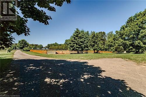 Paddock space - 631 Hillcrest Road, Simcoe, ON 