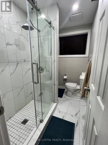 21 Petiole (Basement) Road, Toronto, ON - Indoor Photo Showing Bathroom