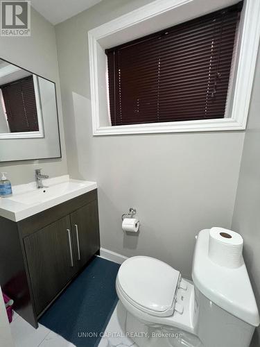 21 Petiole (Basement) Road, Toronto, ON - Indoor Photo Showing Bathroom