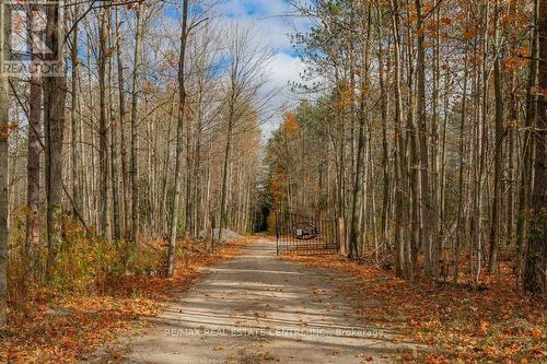 13567 2Nd Line, Milton, ON - Outdoor With View