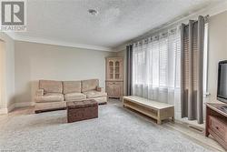 Living room featuring light hardwood / wood-style flooring and a textured ceiling - 