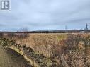 Lot 4 Seeds Road, Temiskaming Shores (New Liskeard), ON 