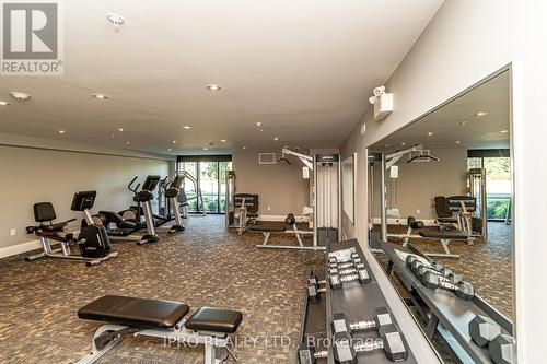 628 - 610 Farmstead Drive, Milton, ON - Indoor Photo Showing Gym Room