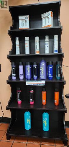 Display - 520 Springbank Drive, London, ON 