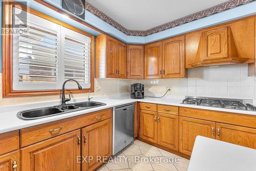 7737 Mount Carmel Boulevard, Niagara Falls (208 - Mt. Carmel), ON - Indoor Photo Showing Kitchen With Double Sink