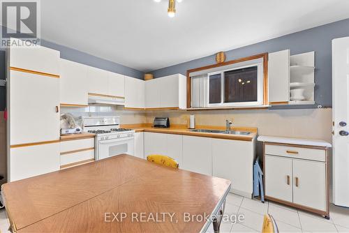 7737 Mount Carmel Boulevard, Niagara Falls (208 - Mt. Carmel), ON - Indoor Photo Showing Kitchen With Double Sink