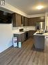 Main - 9235 White Oak Avenue, Niagara Falls, ON  - Indoor Photo Showing Kitchen With Double Sink 