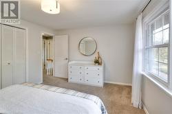 Bedroom featuring light colored carpet and a closet - 