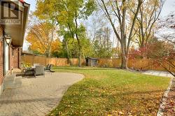 View of yard with a patio and a shed - 