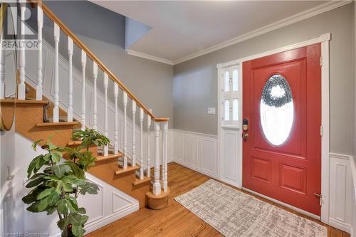 Entrance foyer featuring crown molding, a healthy amount of sunlight, and light wood-type flooring - 147 Dalewood Drive, Kitchener, ON 