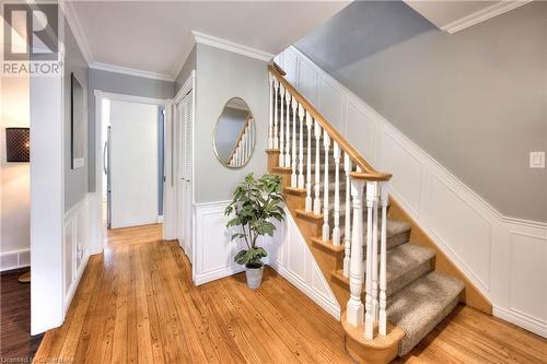 Stairs with hardwood / wood-style flooring and crown molding - 147 Dalewood Drive, Kitchener, ON 