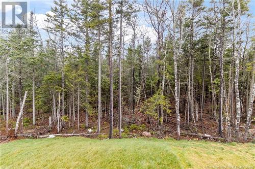 144 Elsliger Street, Dieppe, NB - Outdoor With View