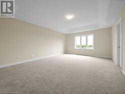 Carpeted spare room featuring a raised ceiling - 