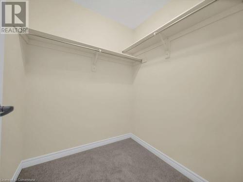 Spacious closet featuring carpet floors - 126 Broadacre Drive, Kitchener, ON 