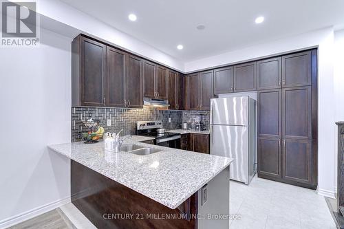 163 Keppel Circle, Brampton, ON - Indoor Photo Showing Kitchen With Stainless Steel Kitchen With Double Sink With Upgraded Kitchen