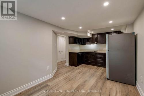 Lower - 1417 Augustine Drive, Burlington, ON - Indoor Photo Showing Kitchen