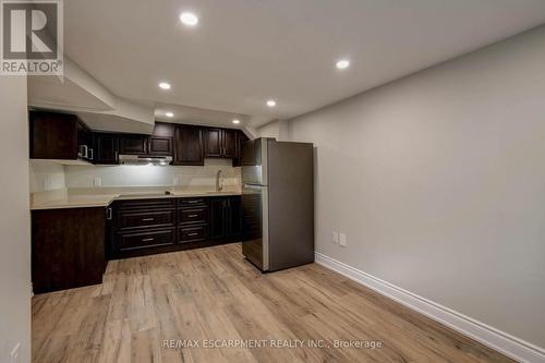 Lower - 1417 Augustine Drive, Burlington, ON - Indoor Photo Showing Kitchen