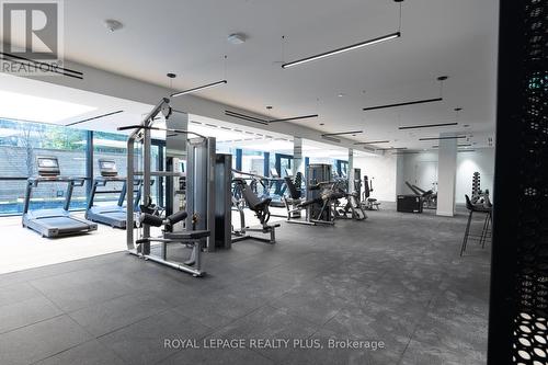 206S - 127 Broadway Avenue S, Toronto, ON - Indoor Photo Showing Gym Room