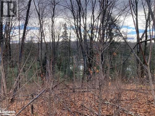 View of local wilderness - 36 Ladds Road, Whitestone, ON 