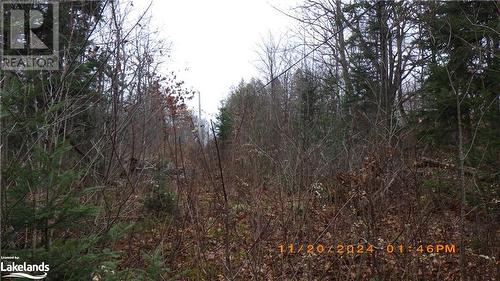 View of nature - 36 Ladds Road, Whitestone, ON 