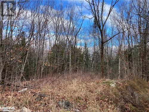 View of local wilderness - 36 Ladds Road, Whitestone, ON 