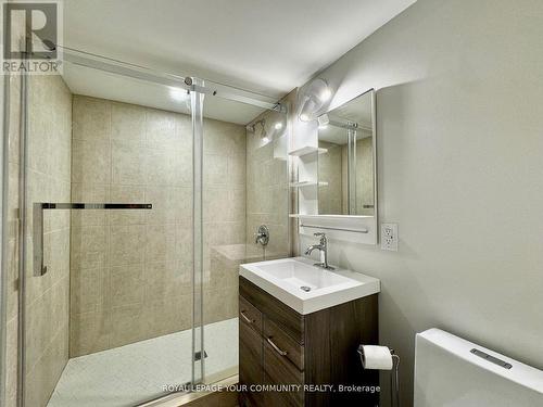 Apt B - 246 Elka Drive, Richmond Hill, ON - Indoor Photo Showing Bathroom