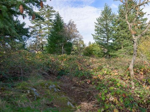 0 Helmcken Rd, Saanich, BC 