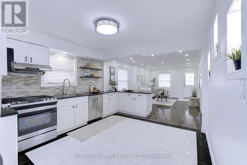 477 Britannia Avenue, Hamilton, ON - Indoor Photo Showing Kitchen With Stainless Steel Kitchen With Upgraded Kitchen