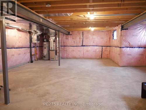 94 Beech Boulevard, Tillsonburg, ON - Indoor Photo Showing Basement