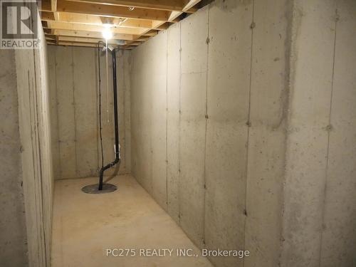 94 Beech Boulevard, Tillsonburg, ON - Indoor Photo Showing Basement