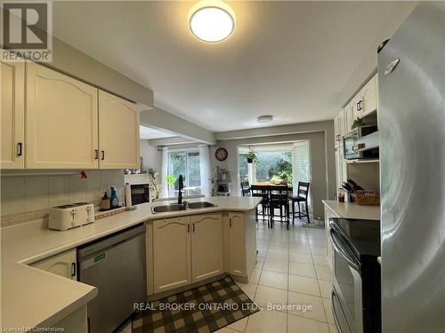 39 Sable Drive, Hamilton, ON - Indoor Photo Showing Kitchen With Double Sink