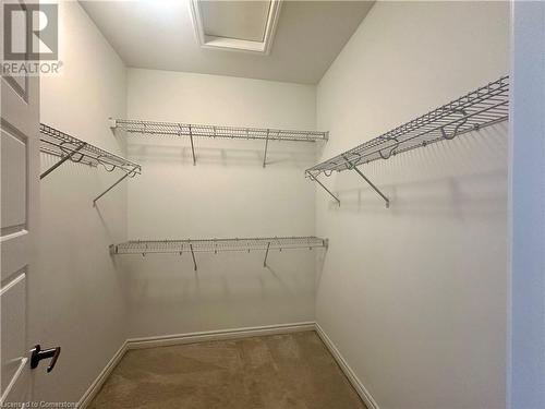 Walk in closet featuring carpet floors - 94 Milt Schmidt Street, Kitchener, ON - Indoor With Storage