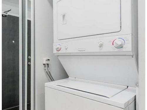 1206-225 Sherway Gardens Rd, Toronto, ON - Indoor Photo Showing Laundry Room