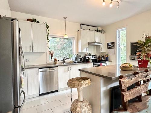 Cuisine - 2606  - 2608 Rue Mountain, Val-David, QC - Indoor Photo Showing Kitchen With Double Sink