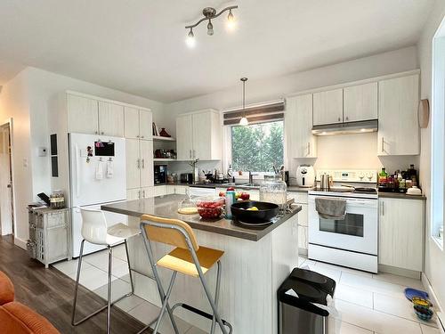 Cuisine - 2606  - 2608 Rue Mountain, Val-David, QC - Indoor Photo Showing Kitchen